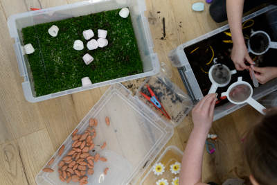 Various objects representing bird food options inside plastic boxes. Children's hands are interactive with a box full of soil and elastic bands to see if their bird beaks can pick up the pretend elastic band food. 