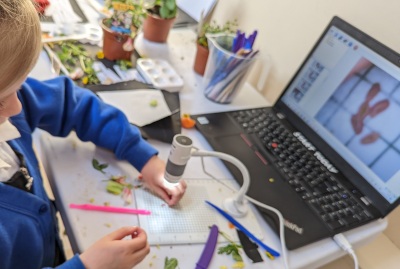 Child places a piece of a plant underneath a digital microscope, plants can be seen in the background. 