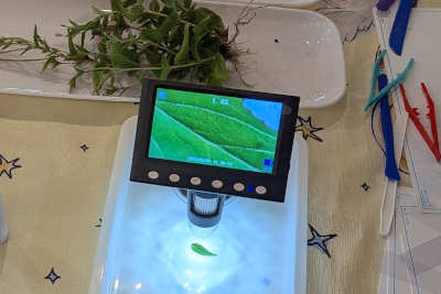 Pieces of a plant are underneath a digital microscope. Other plants and tools can be seen in the background. 